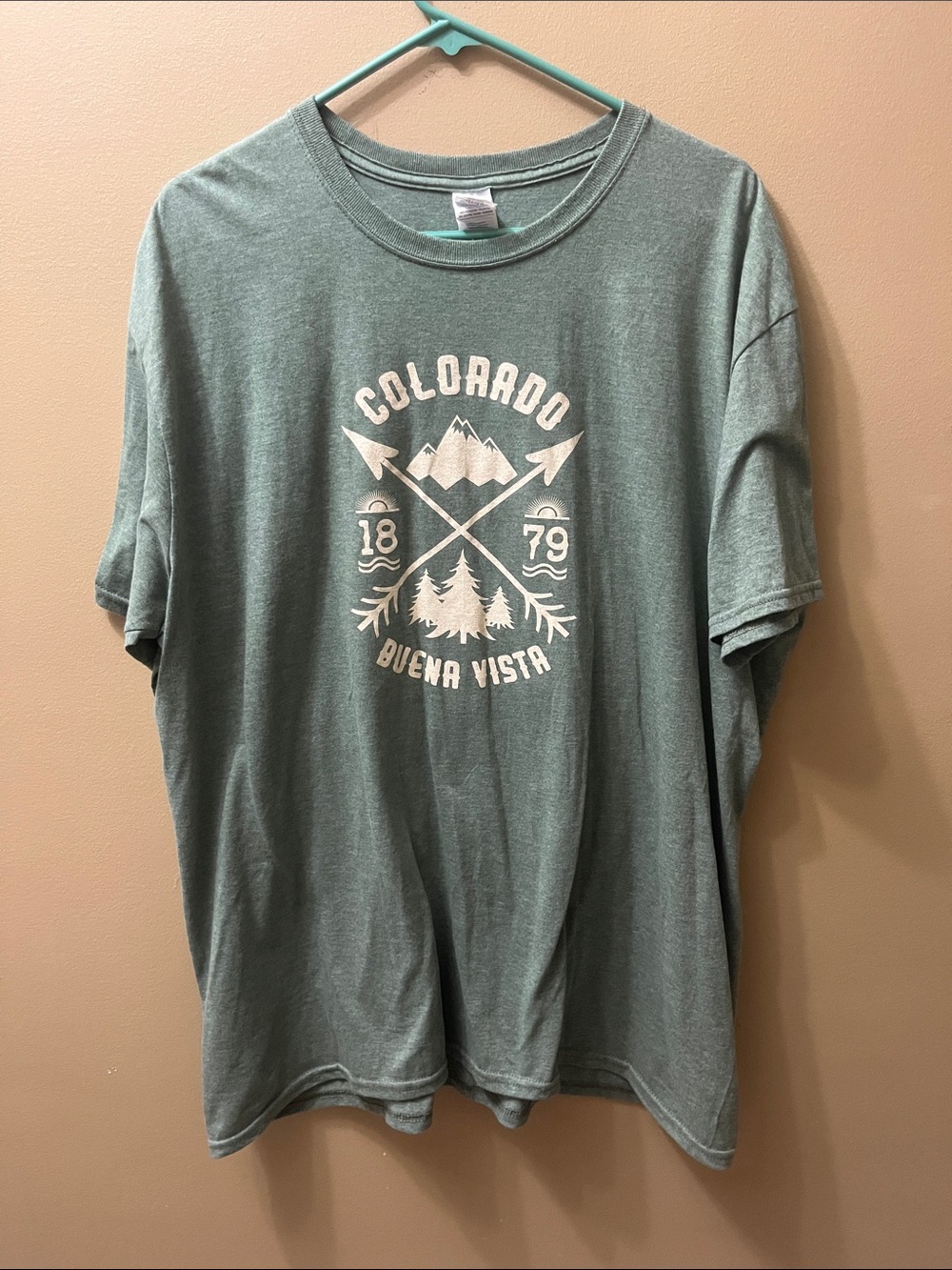 Gildan Colorado Buena Vista Graphic Tee - Sage Green